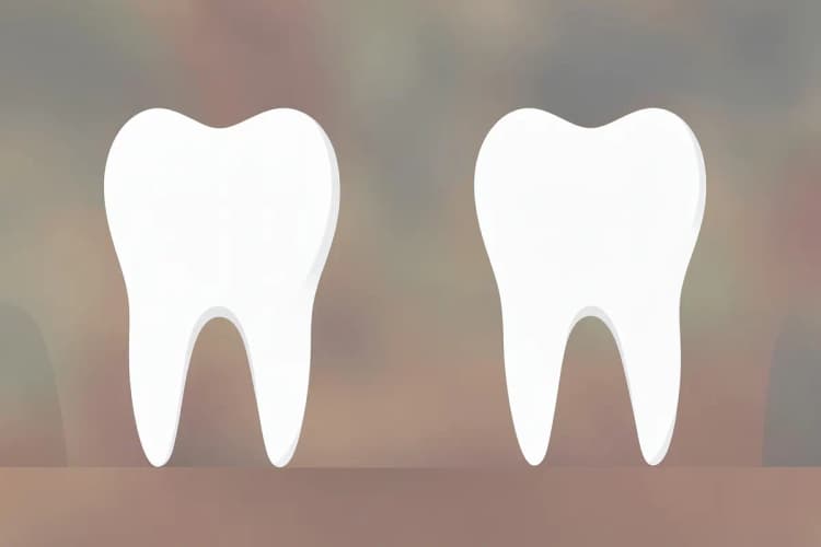 Dente saudável e forte ao lado de um dente tratado, simbolizando a recuperação após o canal