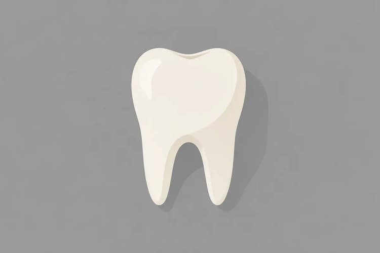Visão superior de um dente com restauração finalizada após o tratamento de canal