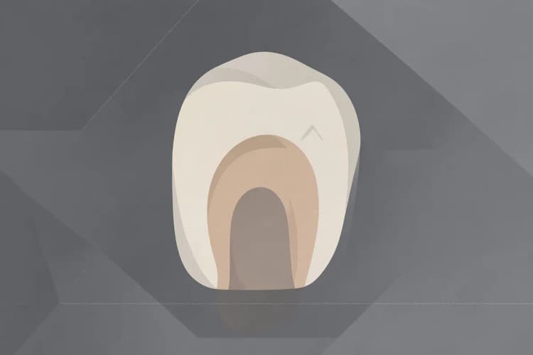 Como Atendimento Odontológico 24h pode ajudar