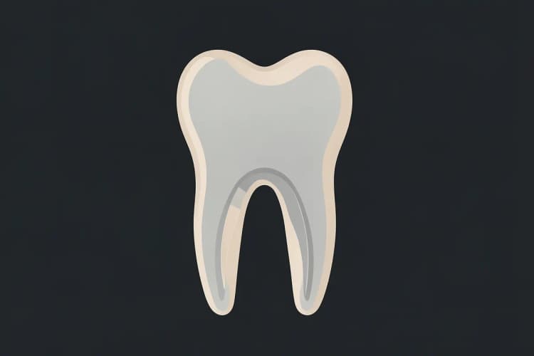Radiografia de um dente após tratamento de canal