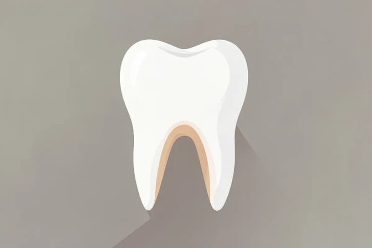 Dente após tratamento de canal, com a raiz intacta, pronto para restauração.