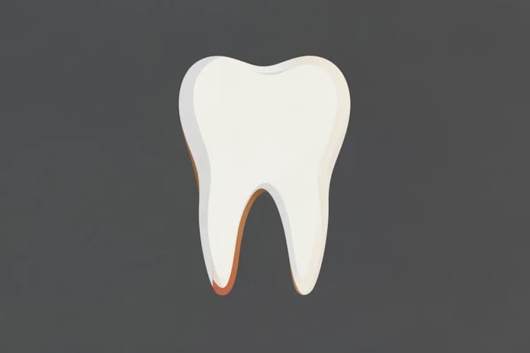 Dente humano com leve sangramento na linha da gengiva.