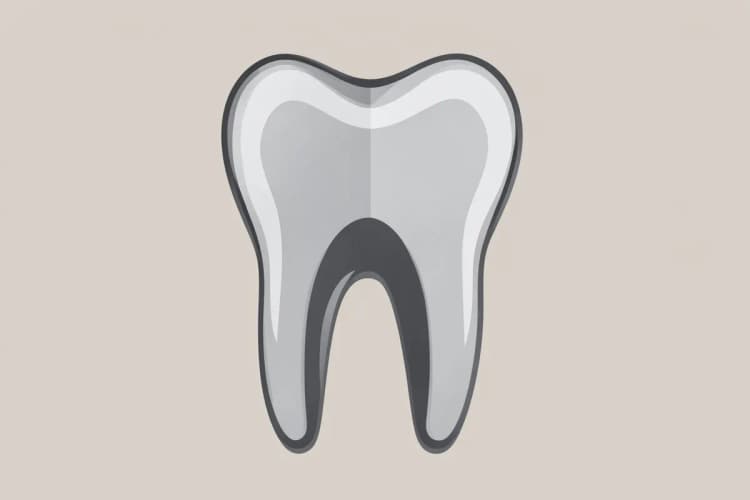 Radiografia de um dente mostrando a área do canal radicular.