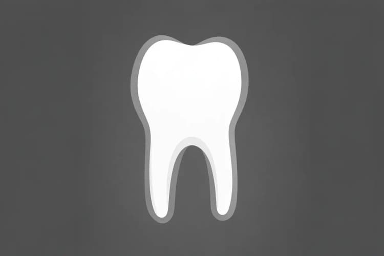 Radiografia de um dente mostrando a área inflamada na ponta da raiz.