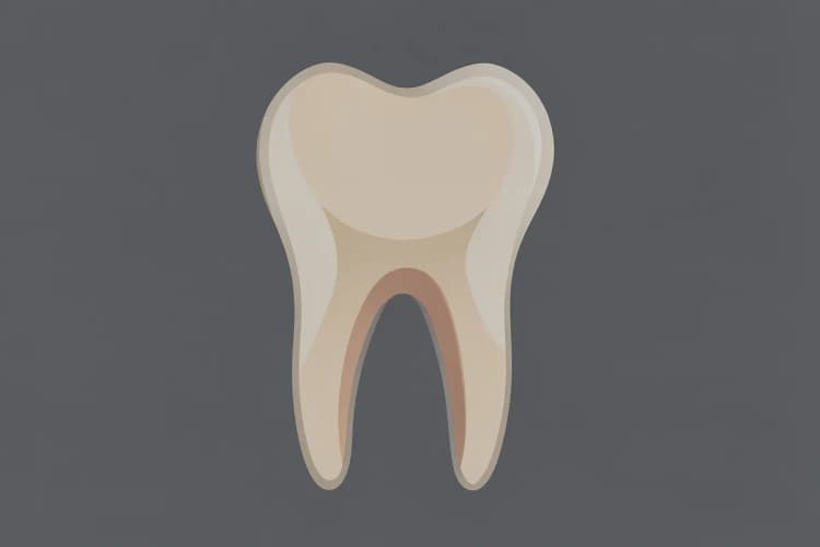 Radiografia de um dente mostrando a raiz e a câmara pulpar, com foco na área a ser tratada.