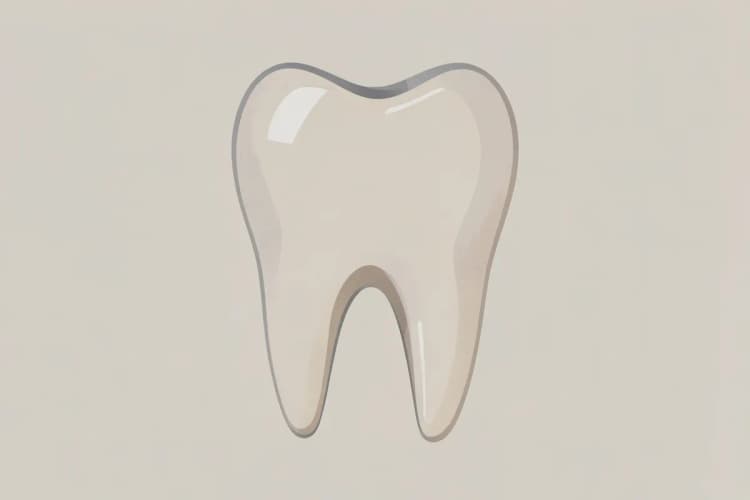 Dente de leite isolado com um pequeno curativo branco sobre a abertura da raiz.